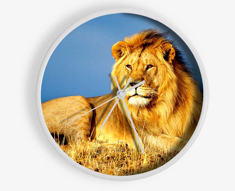 African Lion King Clock - Wallart-Direct UK