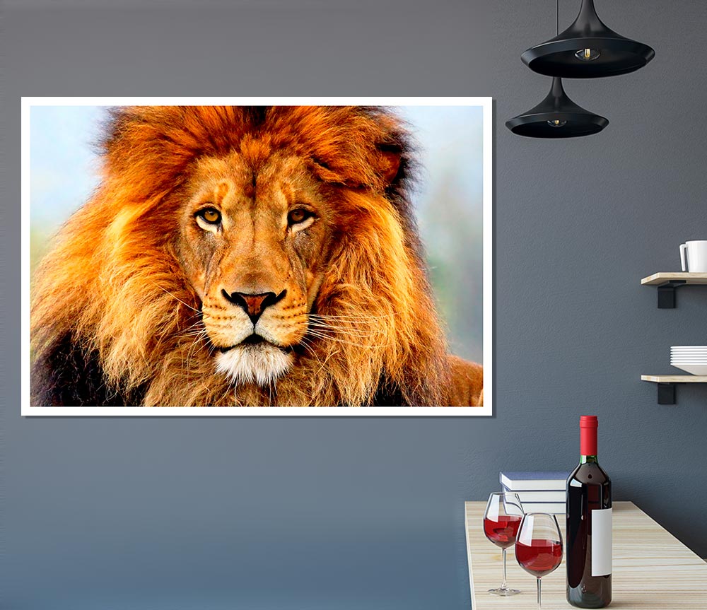 African Lion Print Poster Wall Art