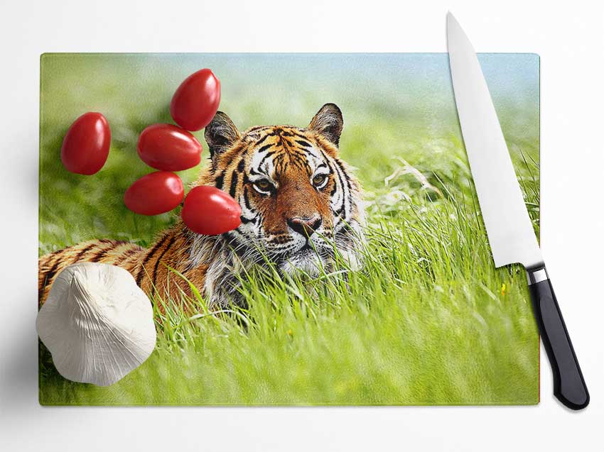 Amazing Siberian Tiger Glass Chopping Board