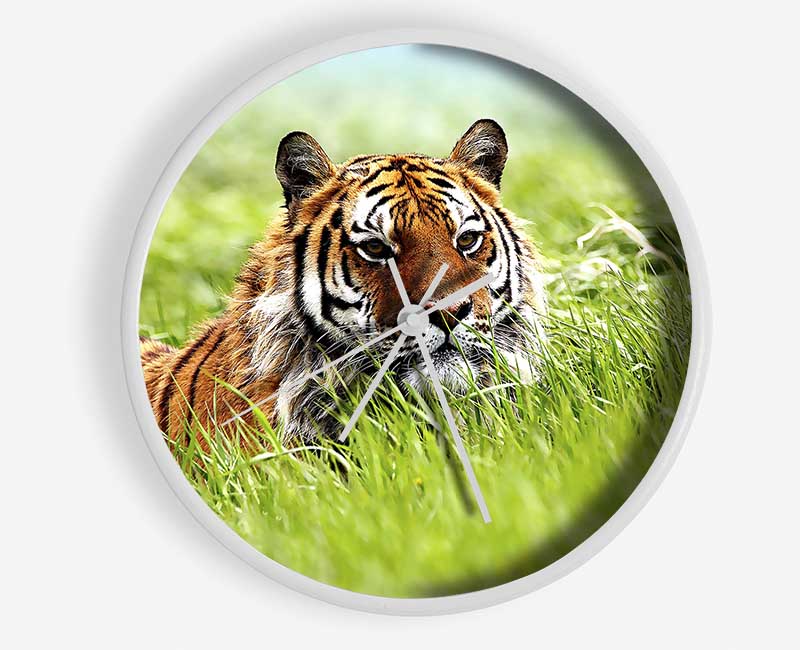 Amazing Siberian Tiger Clock - Wallart-Direct UK