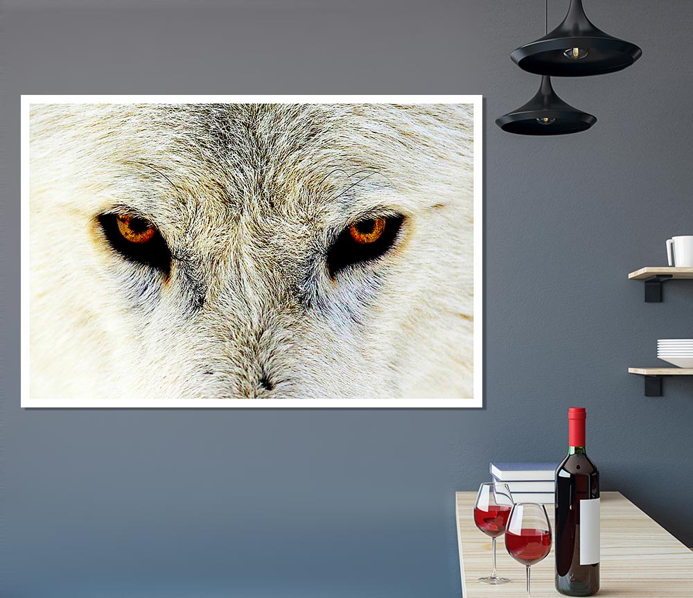 Arctic Wolf Eyes Print Poster Wall Art