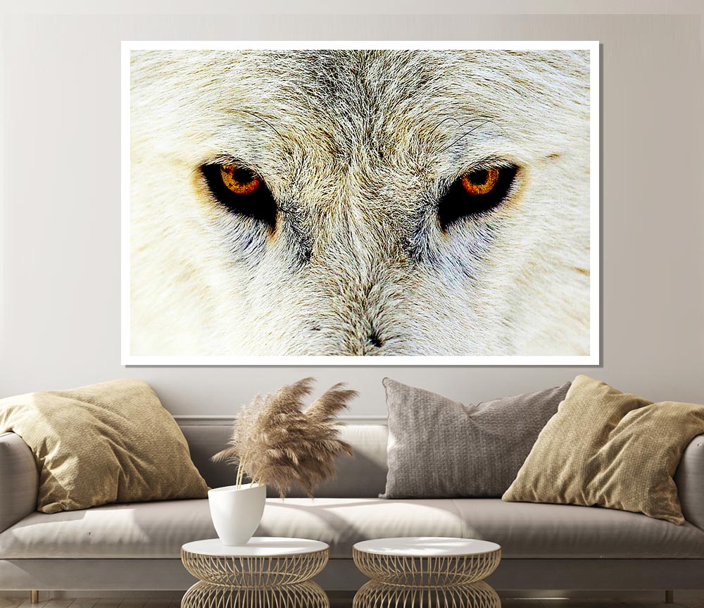 Arctic Wolf Eyes Print Poster Wall Art