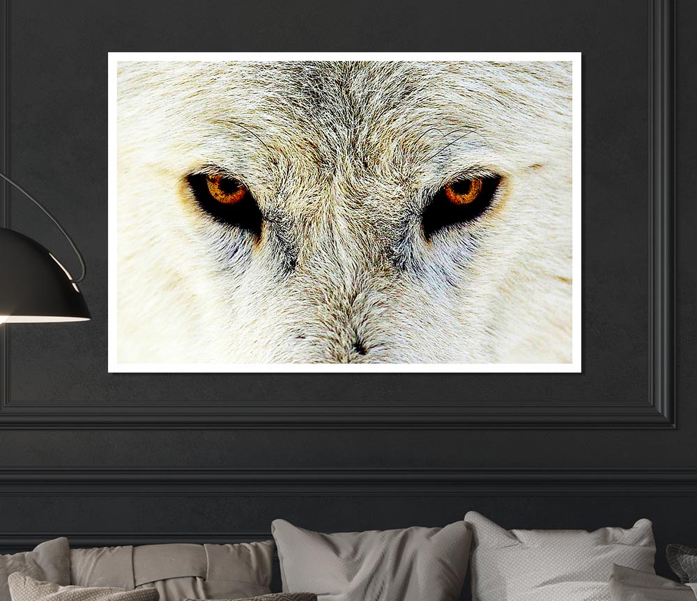 Arctic Wolf Eyes Print Poster Wall Art