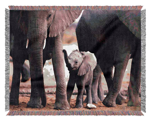 Baby Elephant Love Woven Blanket