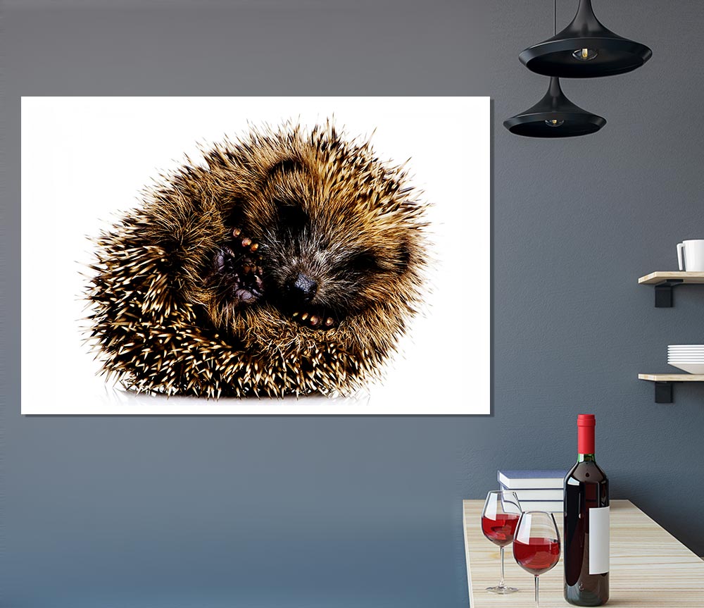 Baby Hedgehog Sleeping Print Poster Wall Art