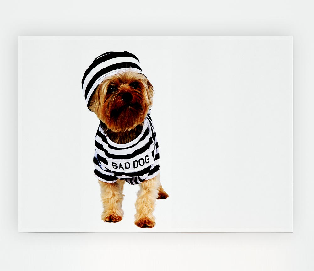 Bad Dog Print Poster Wall Art