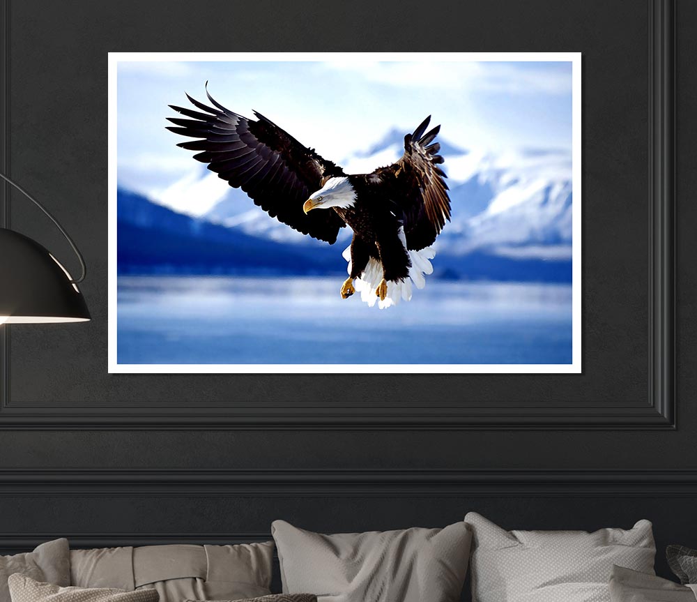 Bald Eagle In Flight Alaska Print Poster Wall Art