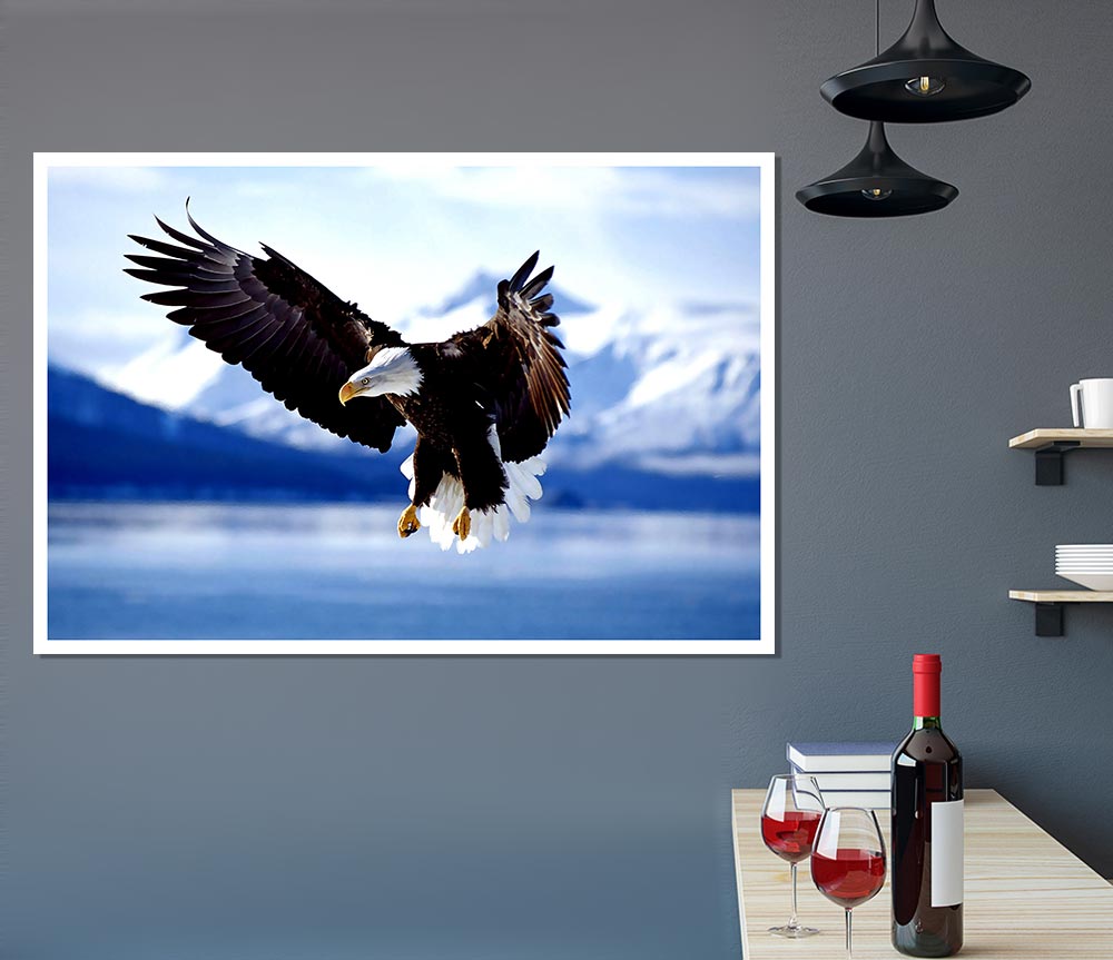 Bald Eagle In Flight Alaska Print Poster Wall Art