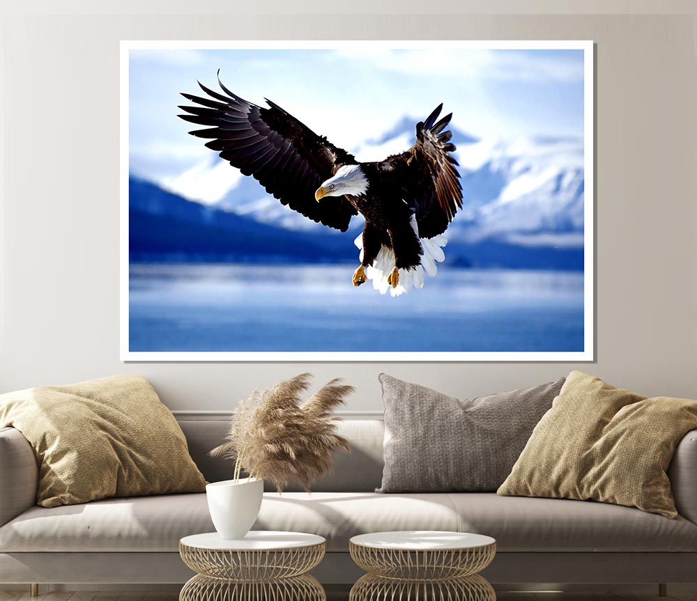 Bald Eagle In Flight Alaska Print Poster Wall Art