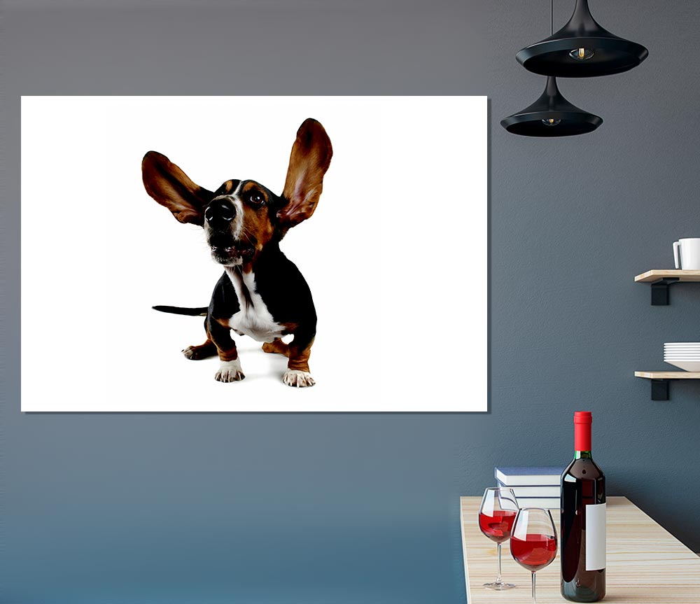 Bassett Hound Ears Print Poster Wall Art