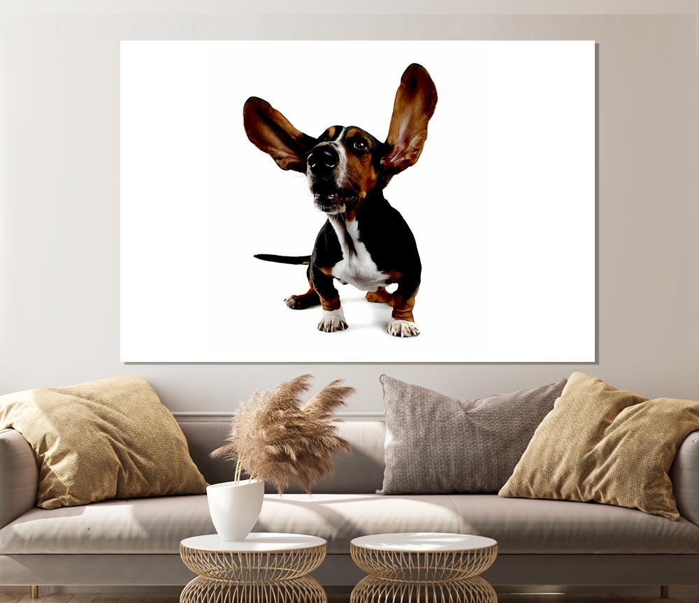 Bassett Hound Ears Print Poster Wall Art