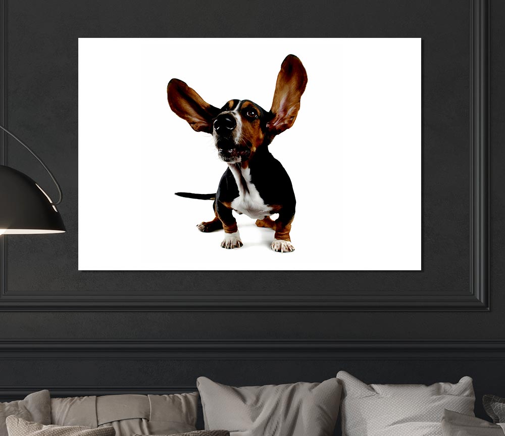 Bassett Hound Ears Print Poster Wall Art