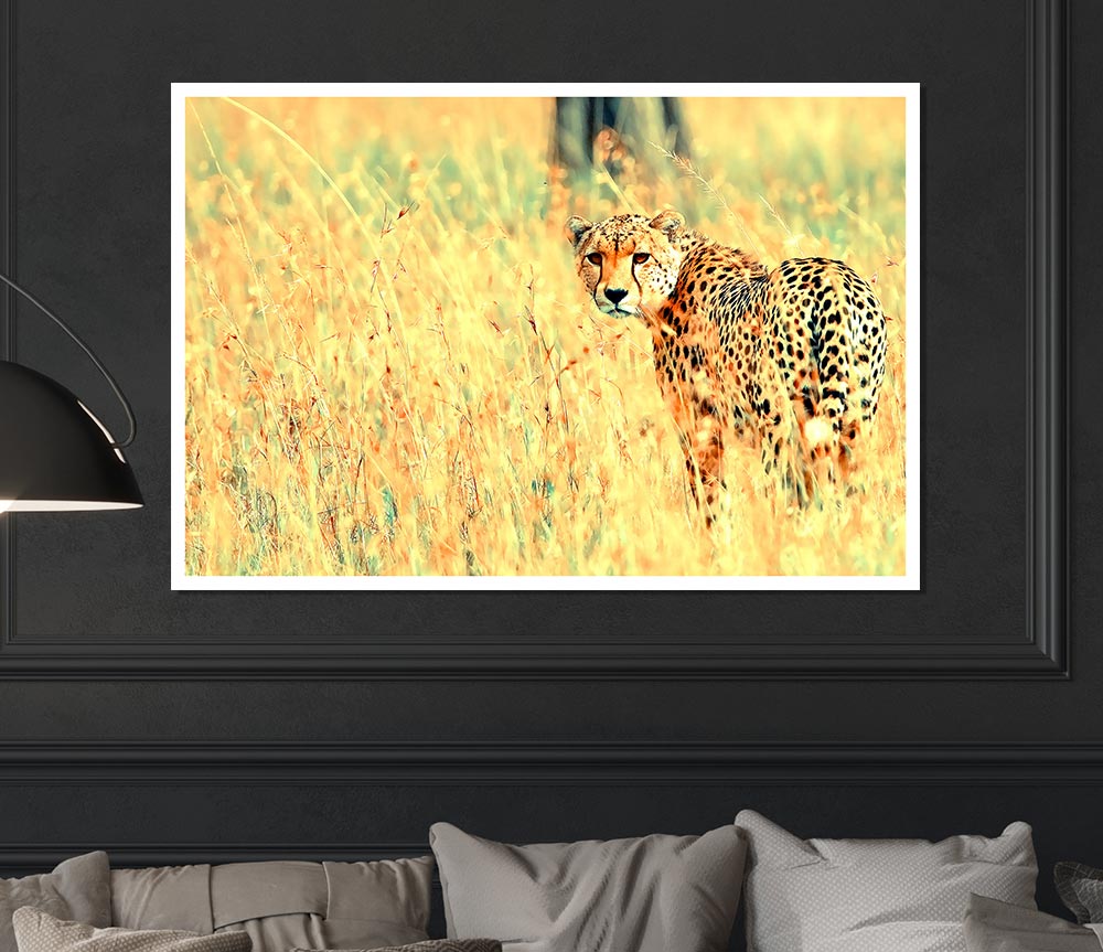 Beautiful Cheetah Print Poster Wall Art