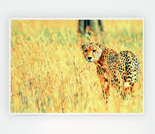 Beautiful Cheetah Print Poster Wall Art