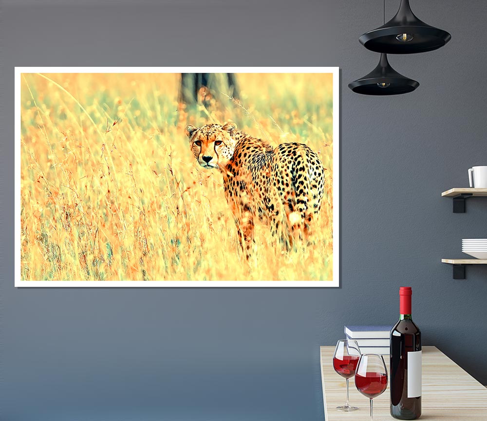 Beautiful Cheetah Print Poster Wall Art