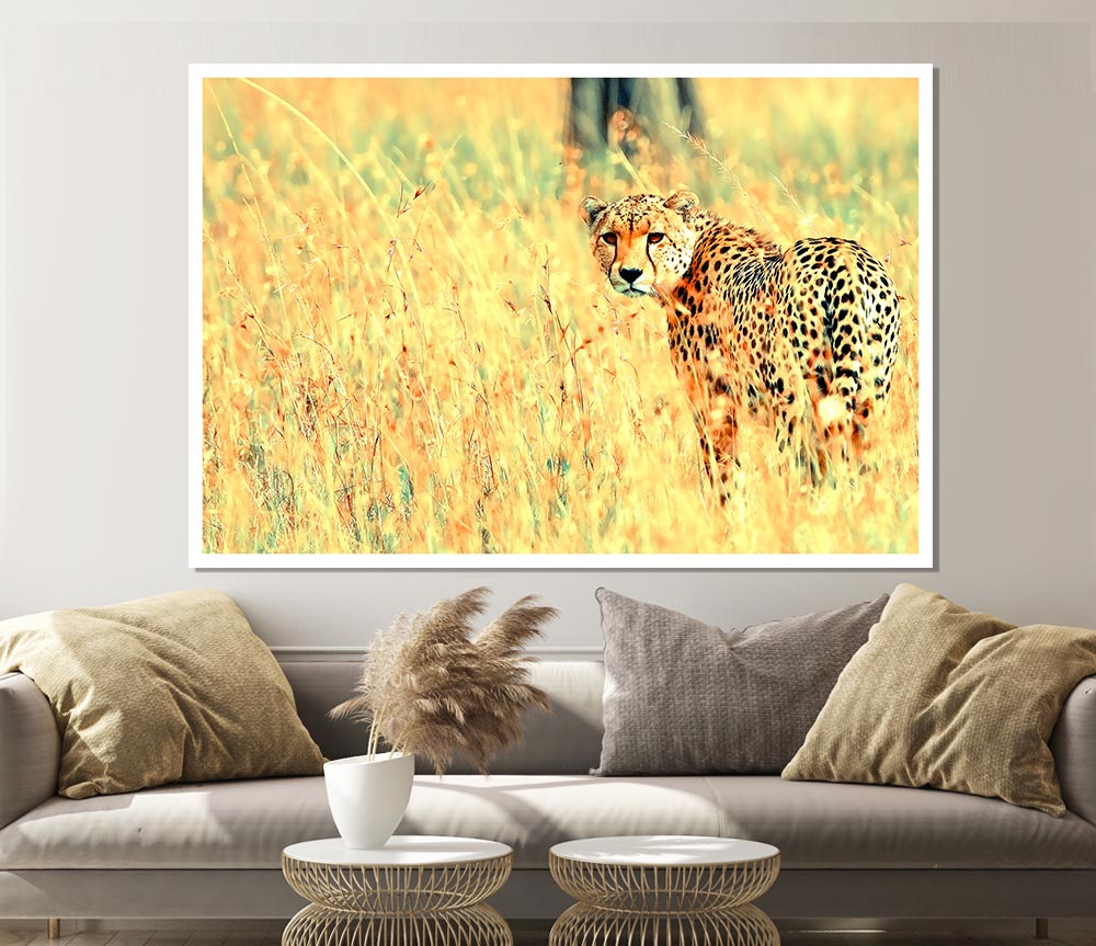 Beautiful Cheetah Print Poster Wall Art