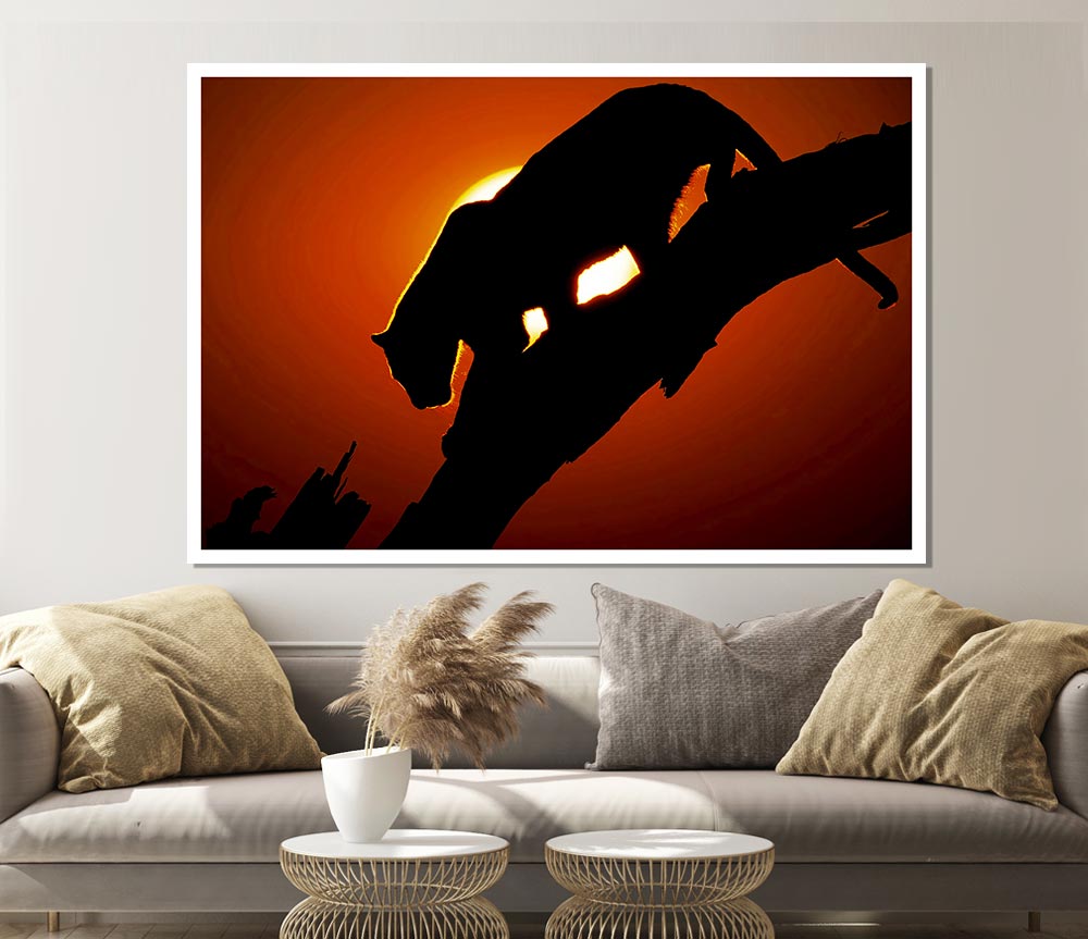 Big Cat In Sunlight Print Poster Wall Art