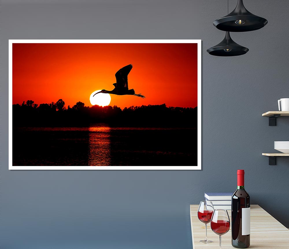 Bird Flying At Sunset Print Poster Wall Art