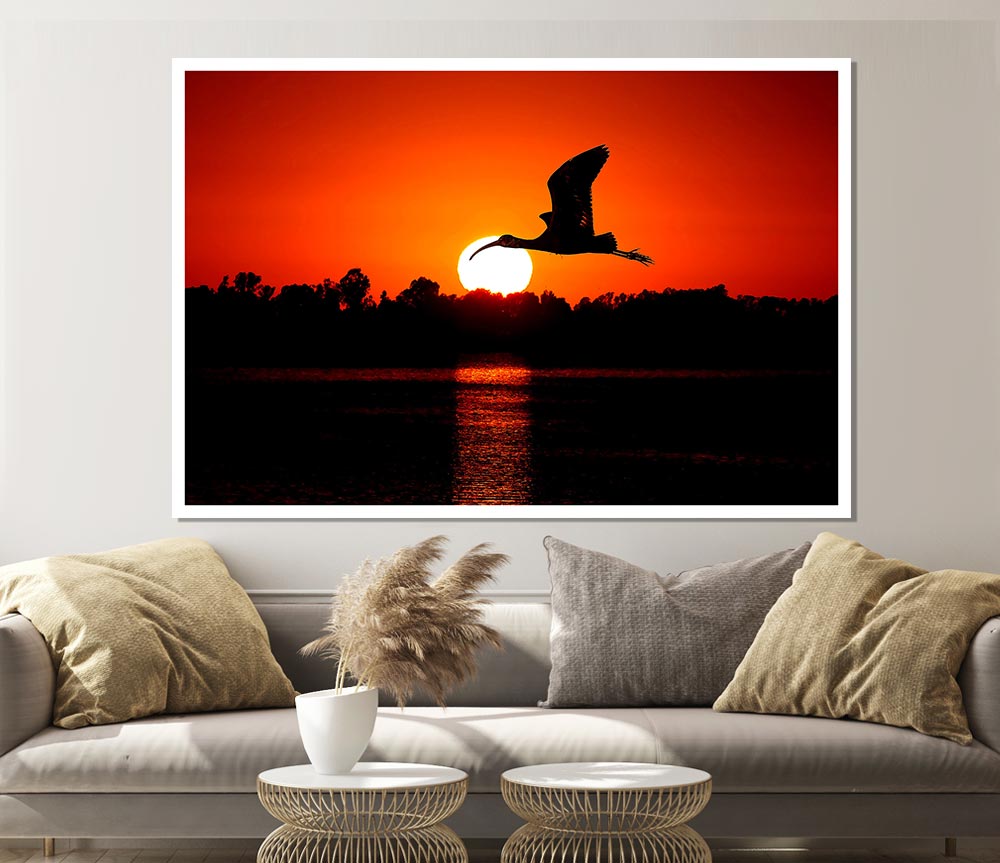 Bird Flying At Sunset Print Poster Wall Art