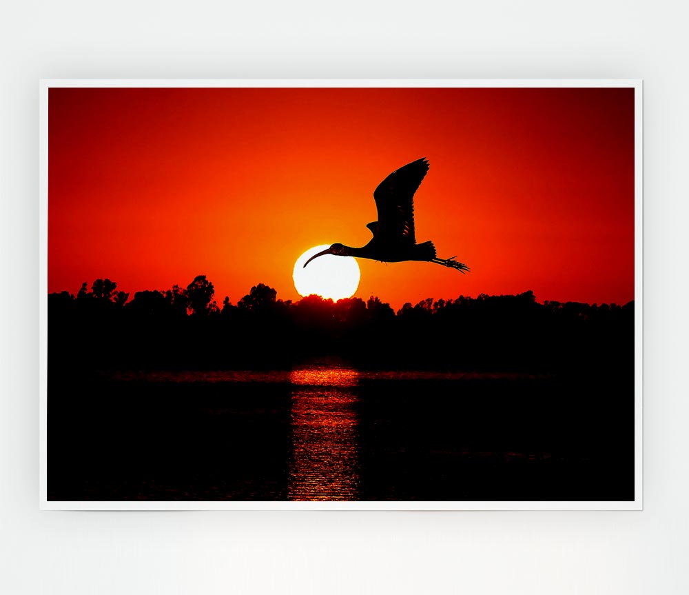 Bird Flying At Sunset Print Poster Wall Art