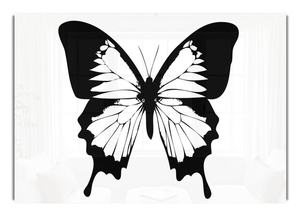 Black And White Butterfly Wings