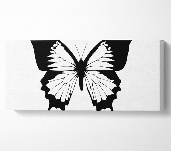 Black And White Butterfly Wings