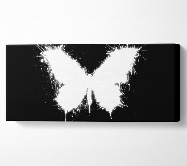 Black And White Butterfly