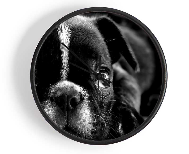 Black French Bulldog Puppy Clock - Wallart-Direct UK