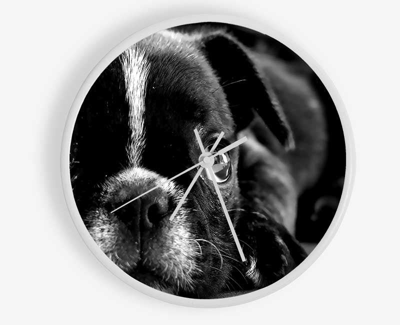 Black French Bulldog Puppy Clock - Wallart-Direct UK