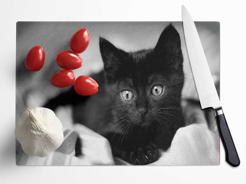 Black Kitten Glass Chopping Board