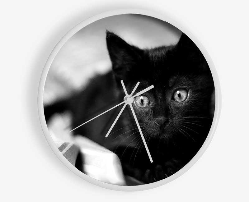 Black Kitten Clock - Wallart-Direct UK