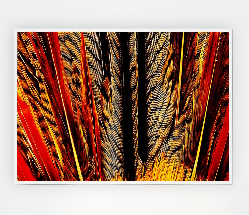 Blazing Feathers Print Poster Wall Art