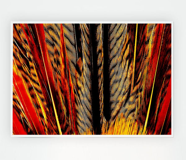 Blazing Feathers Print Poster Wall Art