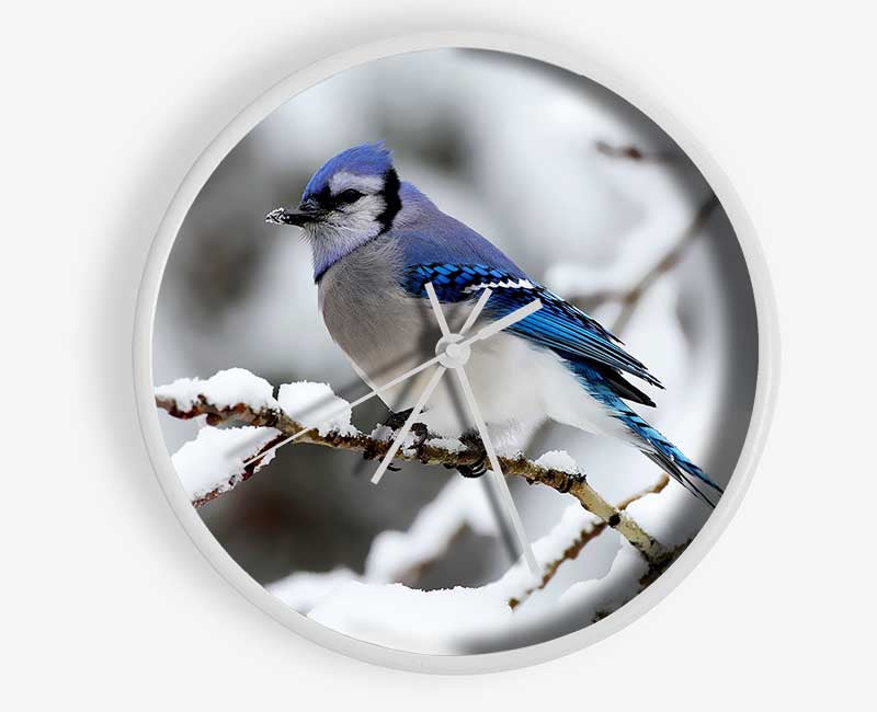 Blue Tit Winter Clock - Wallart-Direct UK