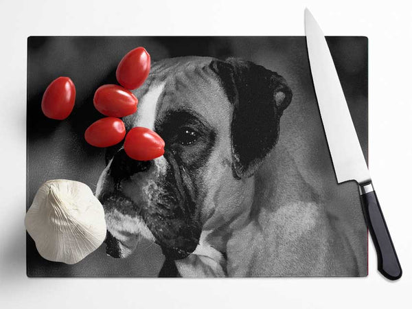 Boxer Beauty Glass Chopping Board