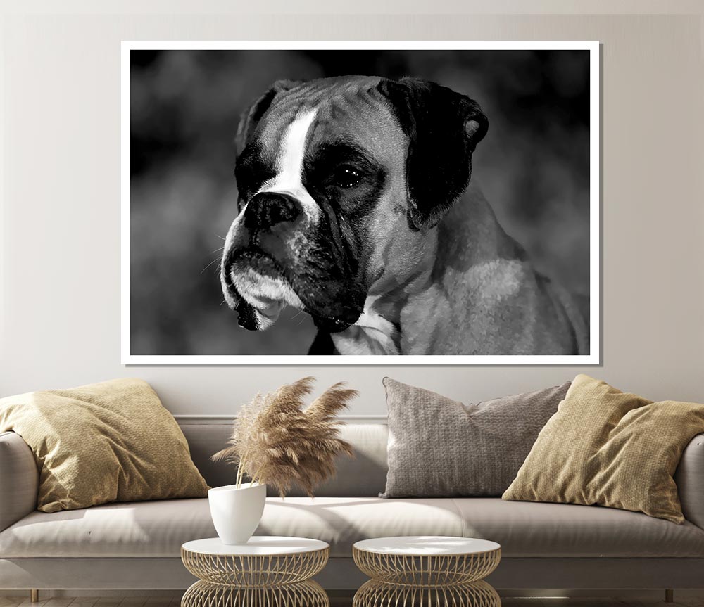 Boxer Beauty Print Poster Wall Art