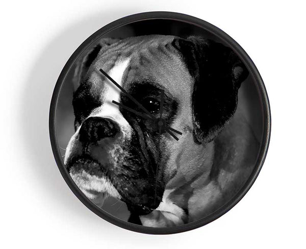 Boxer Beauty Clock - Wallart-Direct UK