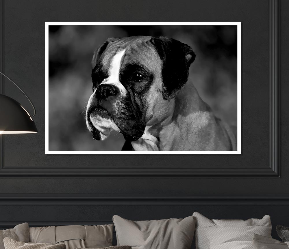 Boxer Beauty Print Poster Wall Art