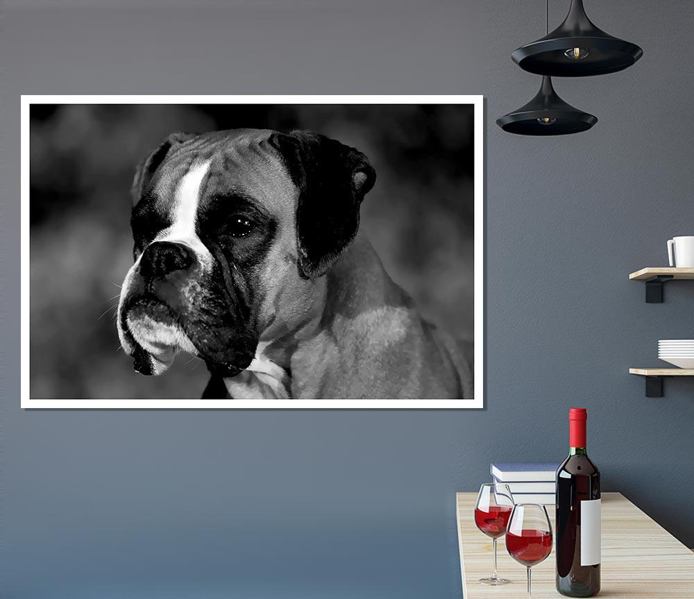 Boxer Beauty Print Poster Wall Art