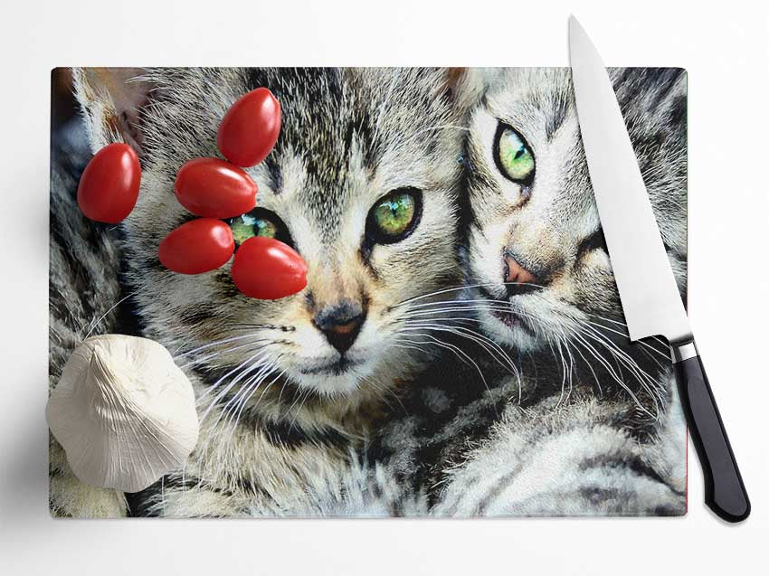 Cat Brothers Glass Chopping Board