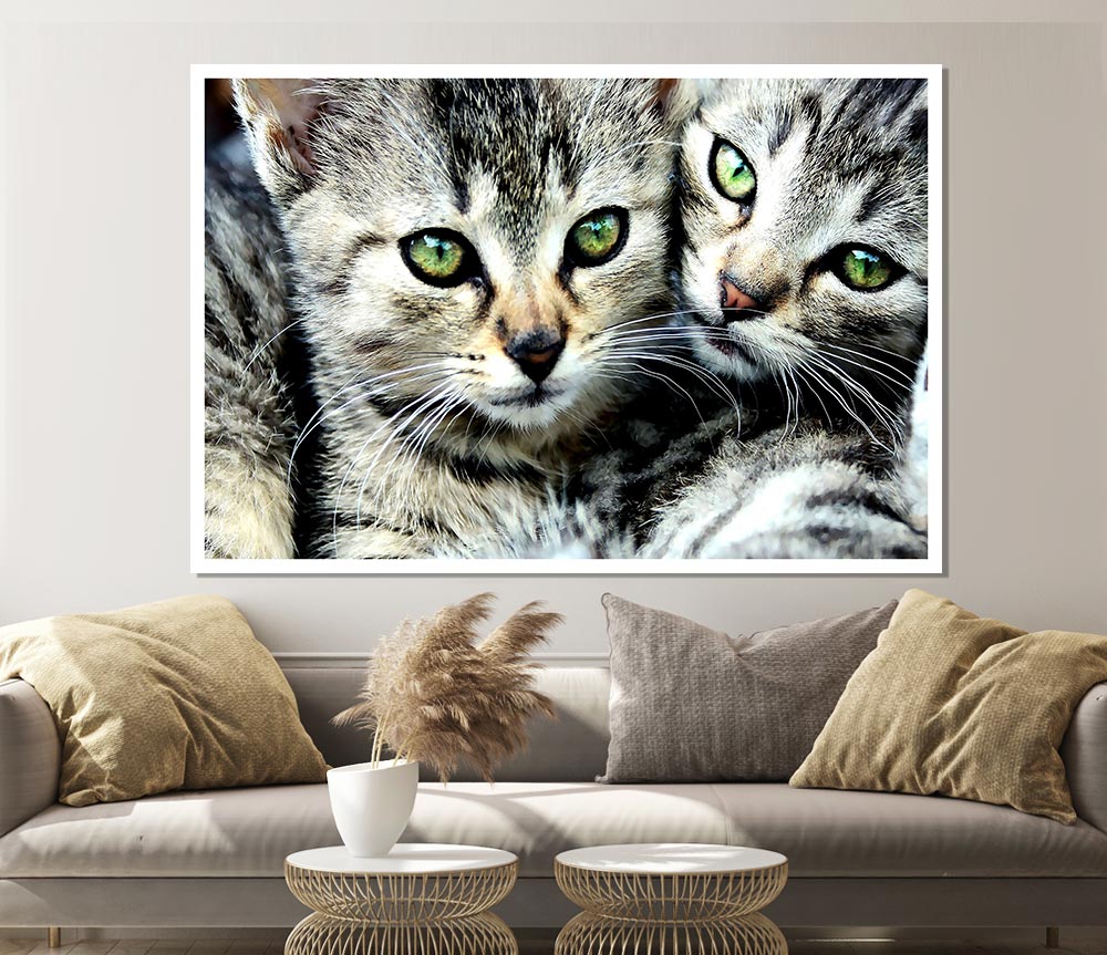 Cat Brothers Print Poster Wall Art