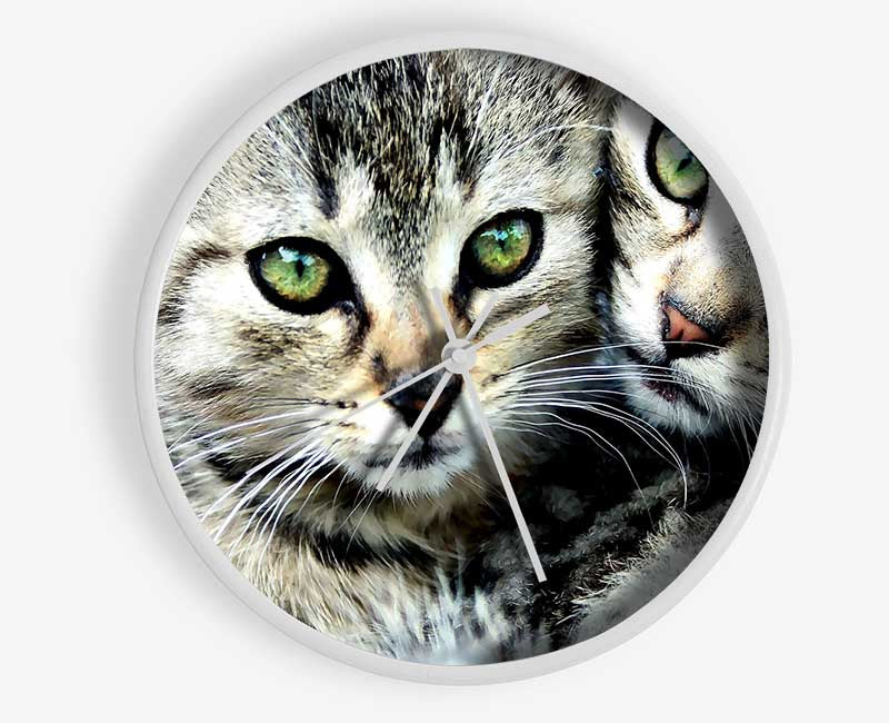 Cat Brothers Clock - Wallart-Direct UK