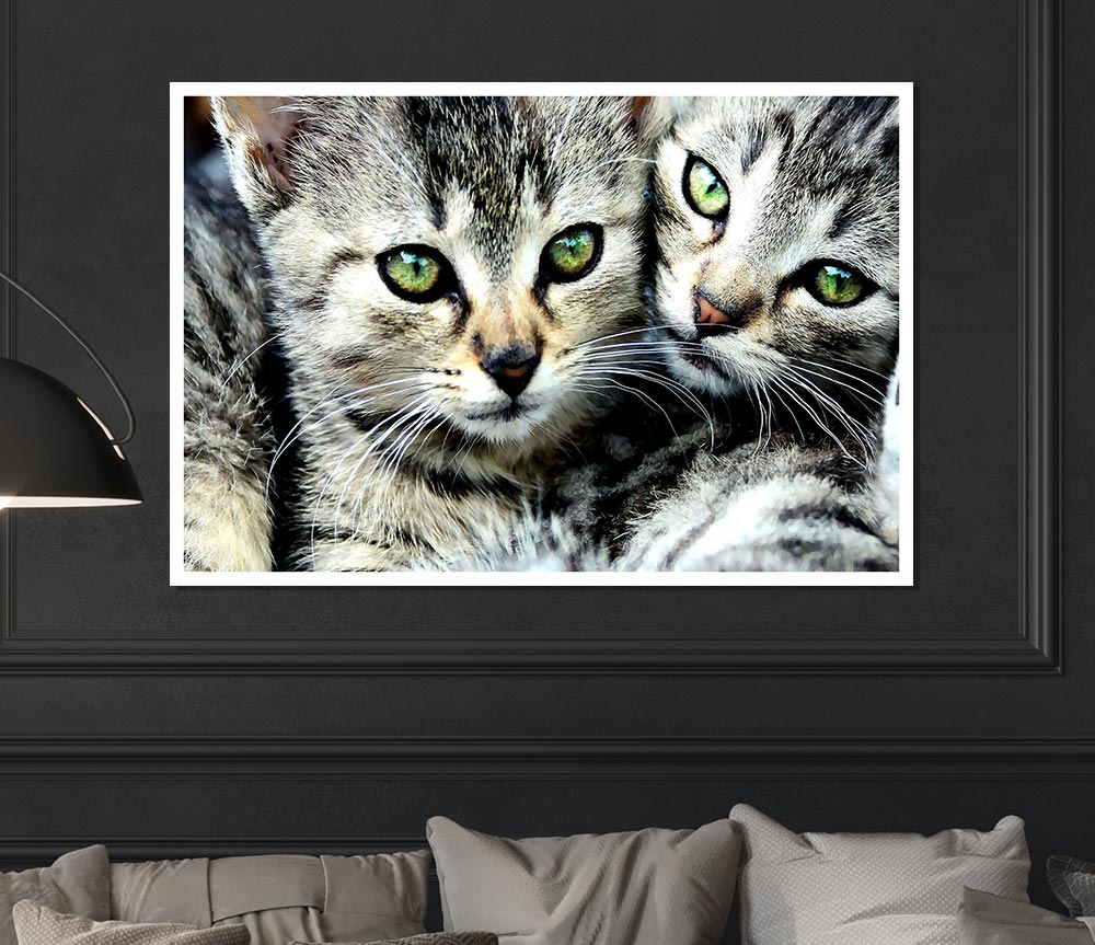 Cat Brothers Print Poster Wall Art