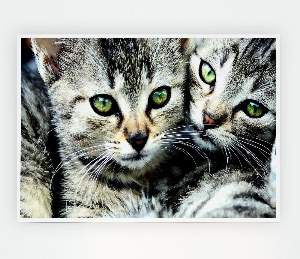 Cat Brothers Print Poster Wall Art