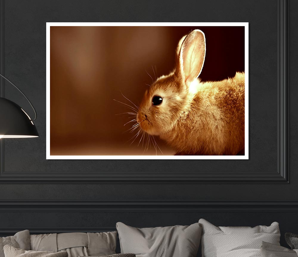 Bunny Whiskers Print Poster Wall Art