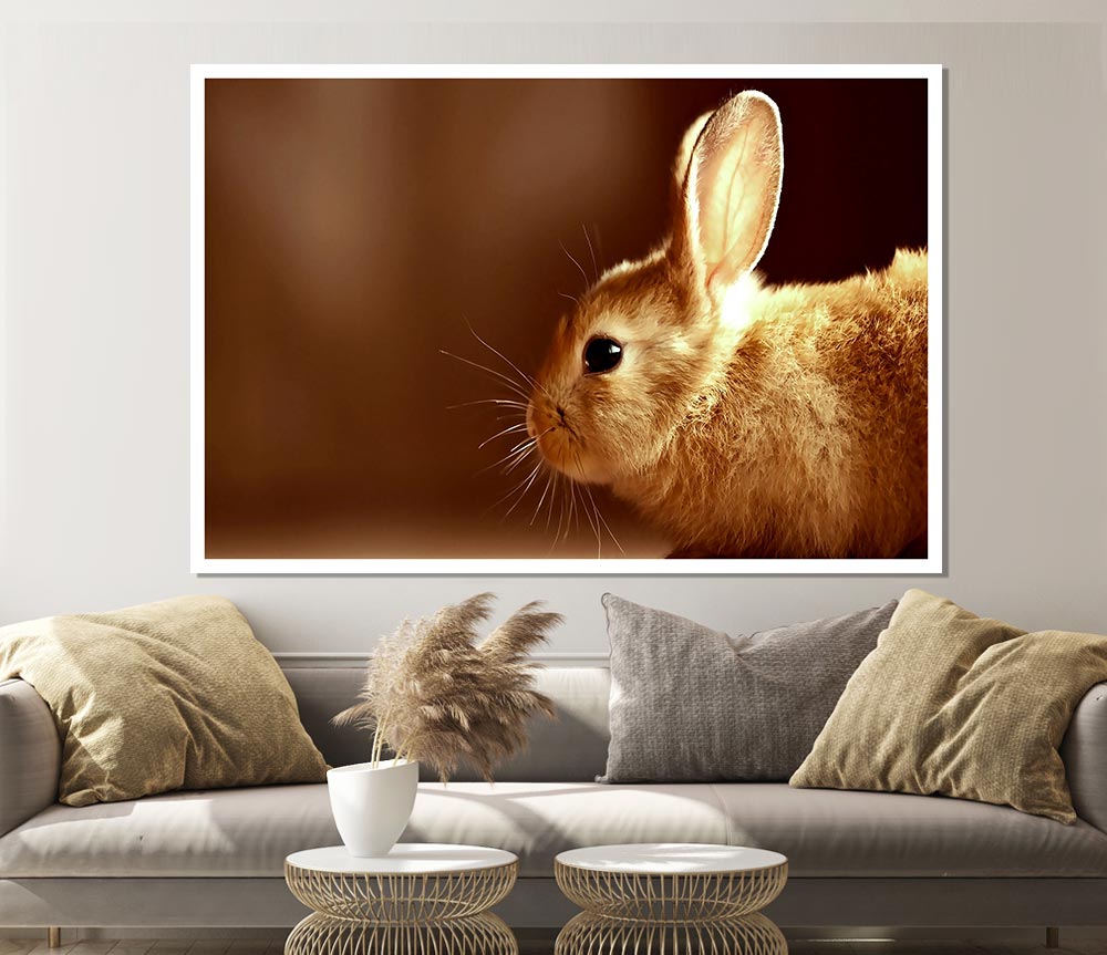 Bunny Whiskers Print Poster Wall Art