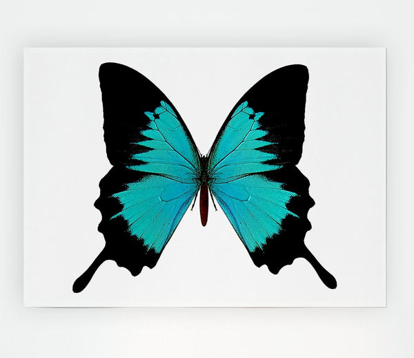 Butterfly Beauty Print Poster Wall Art