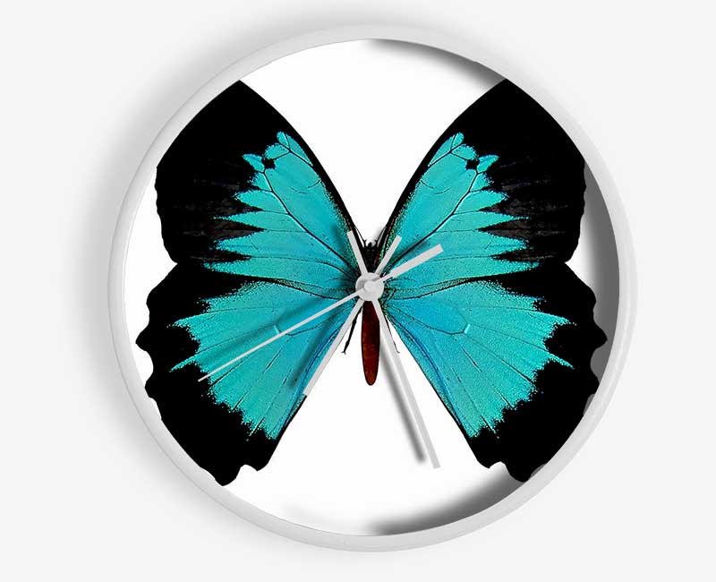 Butterfly Beauty Clock - Wallart-Direct UK