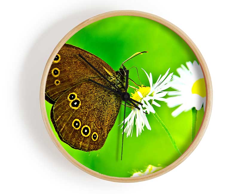 Butterfly Close Up Clock - Wallart-Direct UK