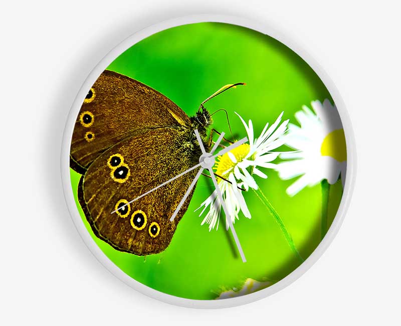 Butterfly Close Up Clock - Wallart-Direct UK